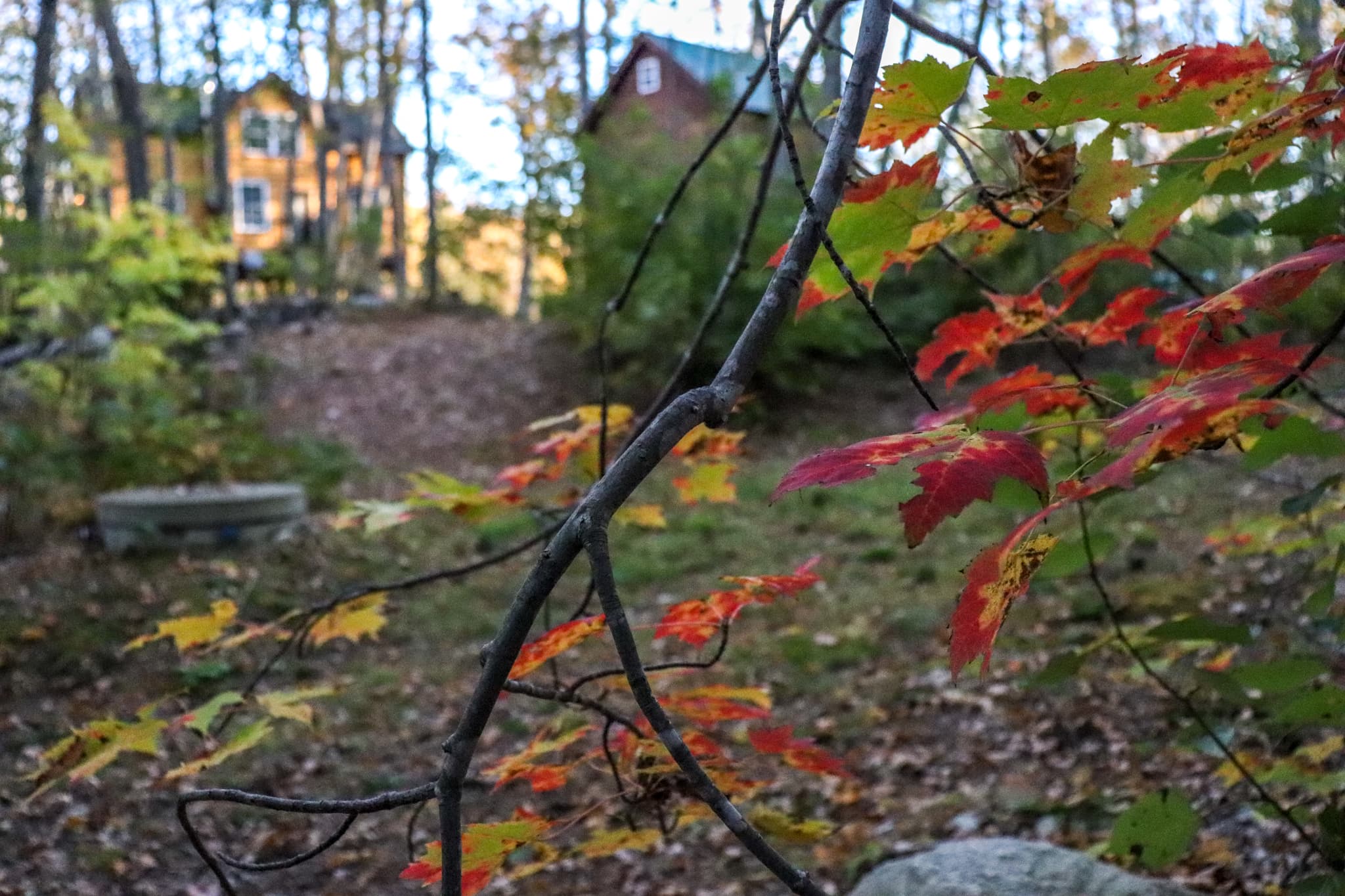 Fall in the White Mountains
